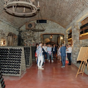 2023-06-27-Hoya-Franciacorta-04571-Enhanced-NR