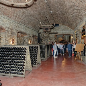 2023-06-27-Hoya-Franciacorta-04573